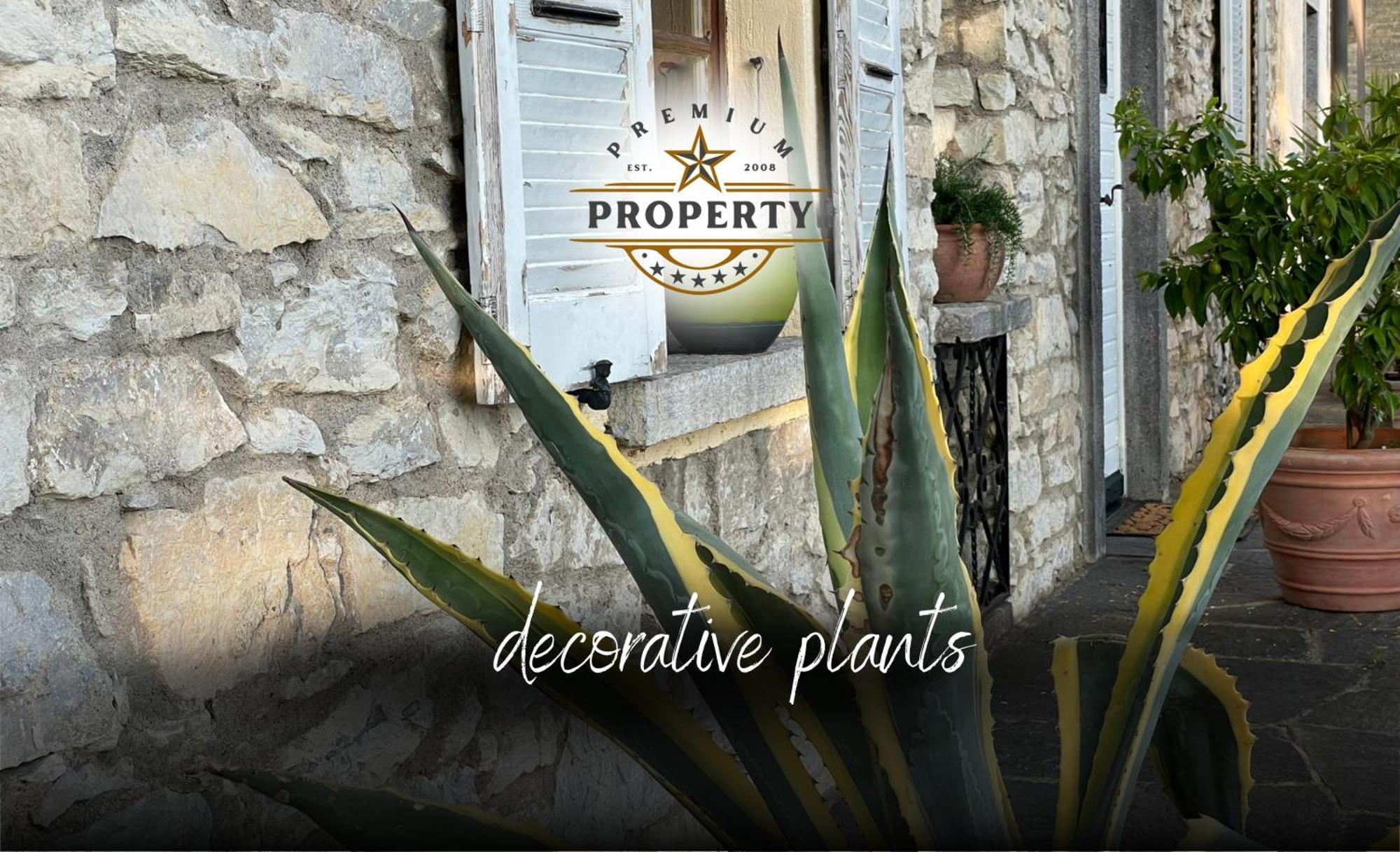 Hébergement de vacances Magnificent Sunstone House, Private Parking, Bbq Area, Kids Toys, Near I Dei Leoni *